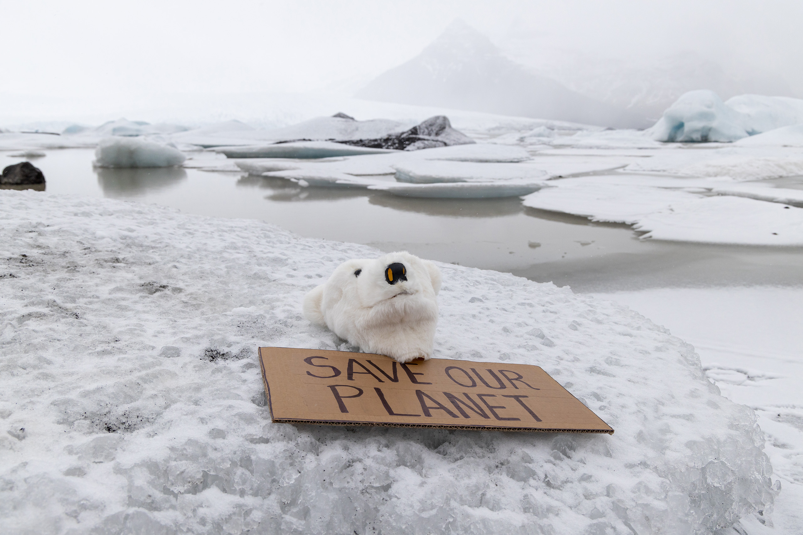 polar-bear-mask-on-a-glacier-with-a-message-